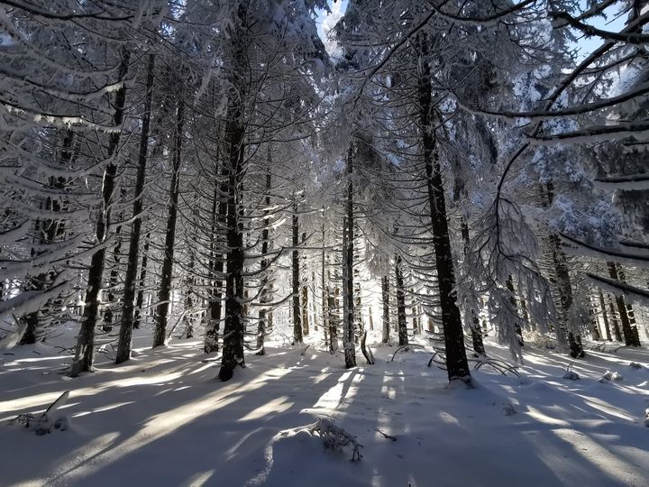Bonne année 2021 - Le Cellier des Montagnes Bonne année 2021 - Le Cellier des Montagnes