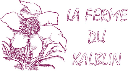 La Ferme du Kalblin