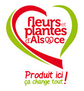 Fleurs et plantes d’Alsace 