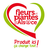 Fleurs et Plantes d'Alsace