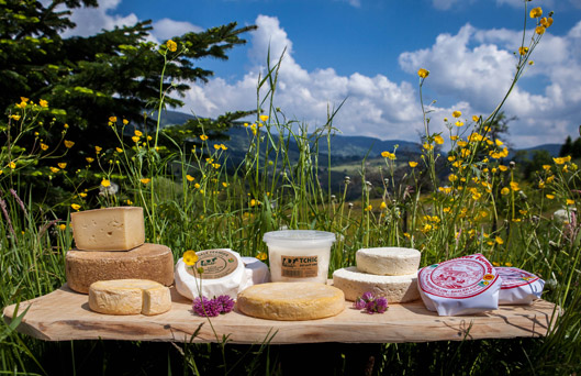 Produits laitiers Produits laitiers