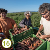 Les saveurs du Ried Les saveurs du Ried