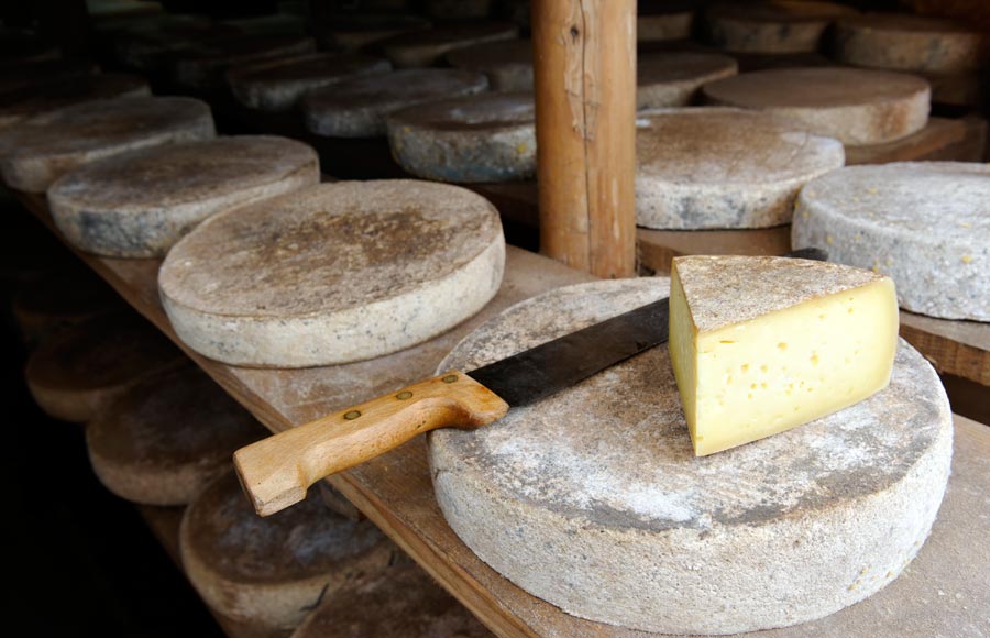 La Ferme du Champ de la Croix