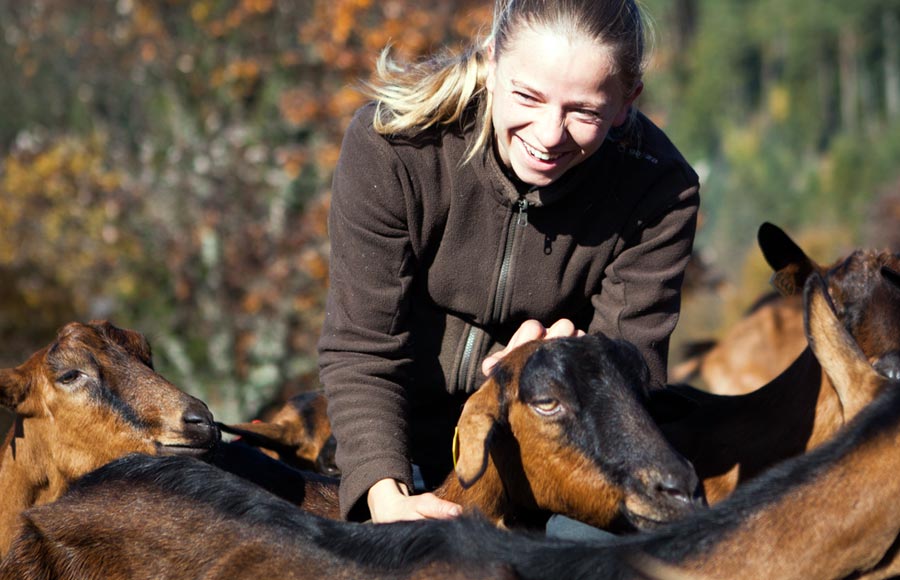 La Ferme des Embetschés