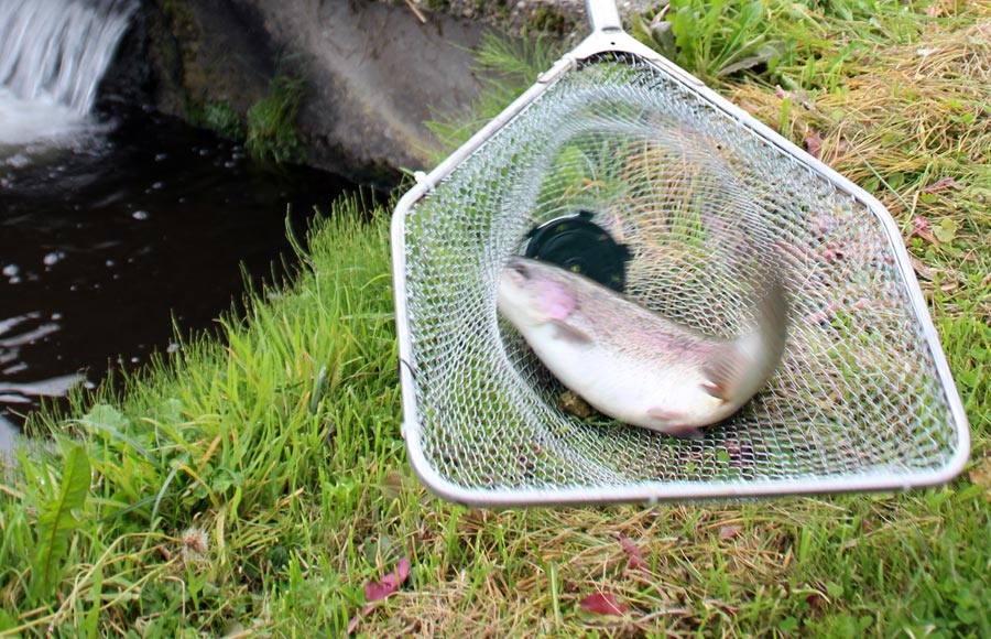 Pisciculture François Guidat