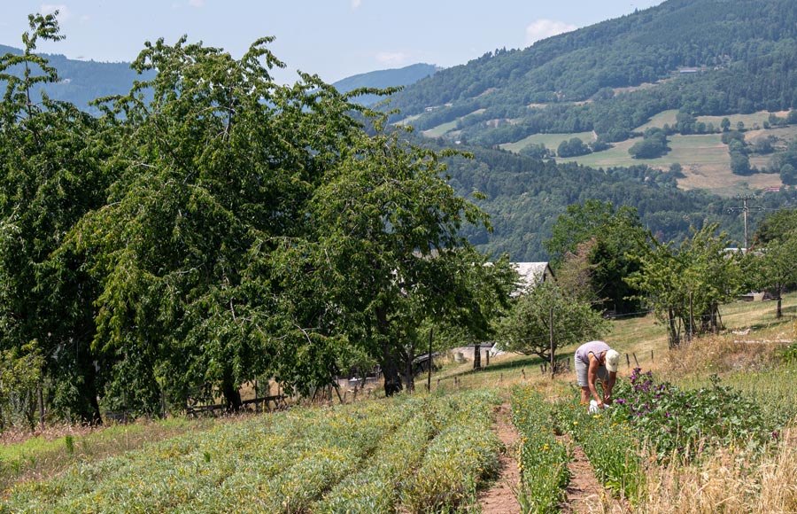 La Ferme du Kalblin