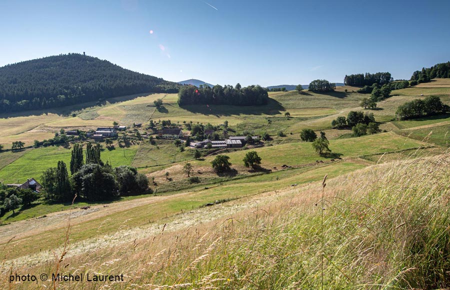 La Ferme Pierrevelcin-Basler