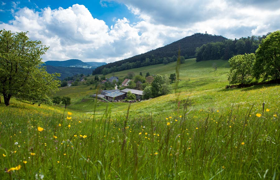 La Ferme Pierrevelcin-Basler