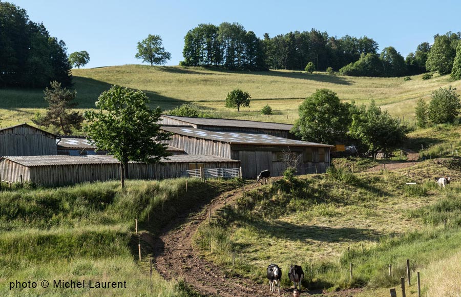 La Ferme Pierrevelcin-Basler