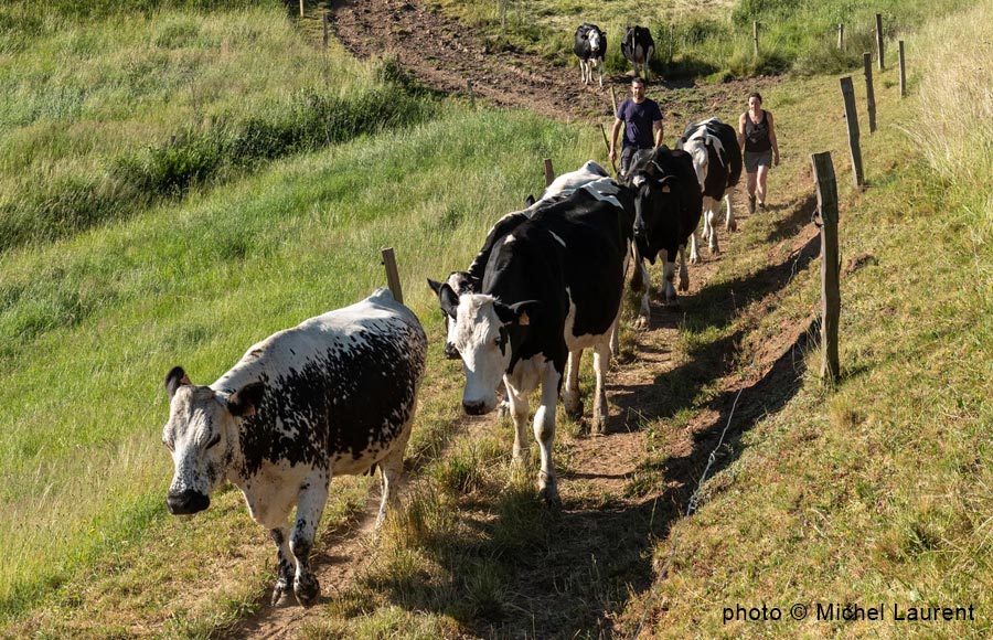 La Ferme Pierrevelcin-Basler