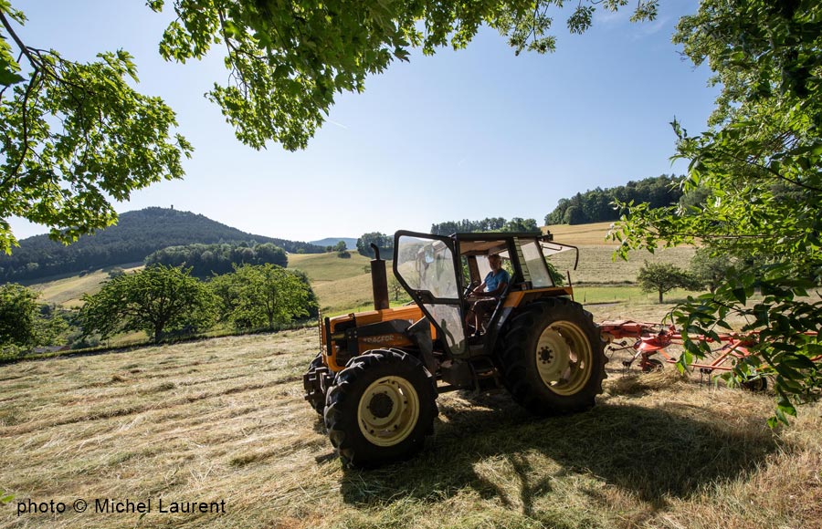La Ferme Pierrevelcin-Basler