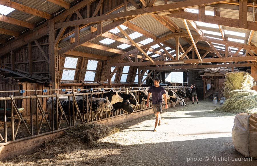 La Ferme Pierrevelcin-Basler