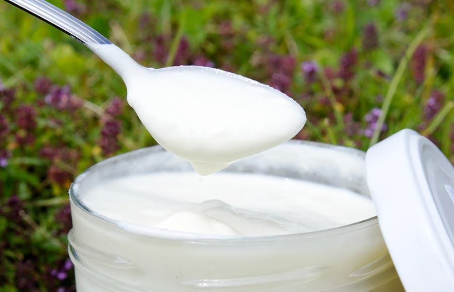Le Gaec Fleurs de Lait