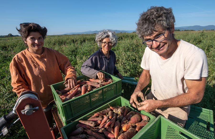Les Saveurs du Ried