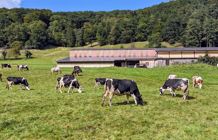 La Ferme des Schalandos & Ferme à Bulles
