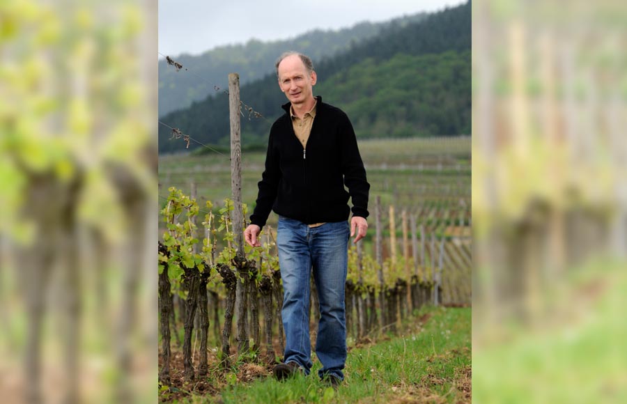 Vignoble André Stentz
