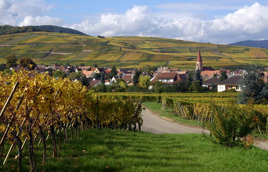 Vignoble André Stentz