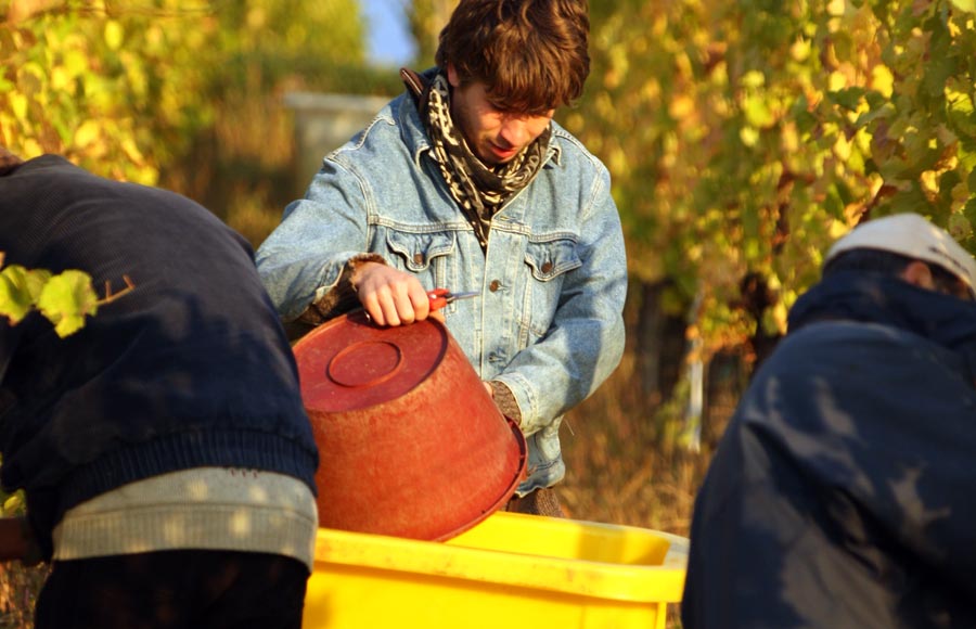 Vignoble André Stentz