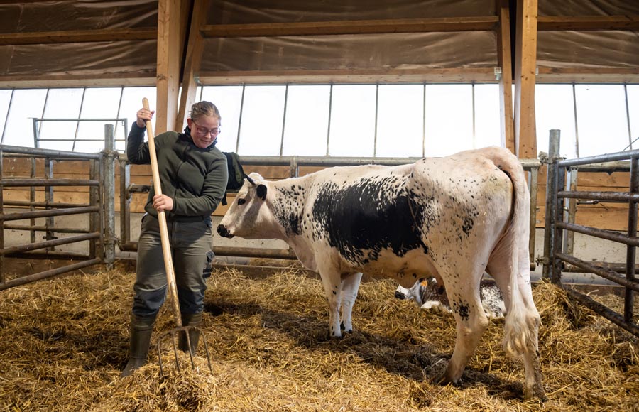 La Ferme du Surcenord