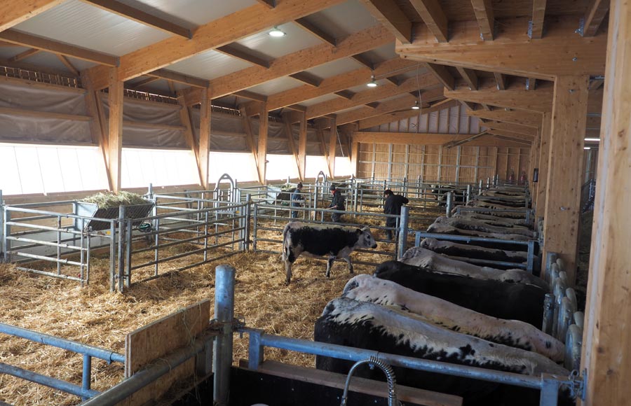 La Ferme du Surcenord