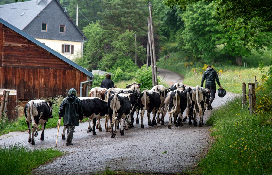 La Ferme du Surcenord