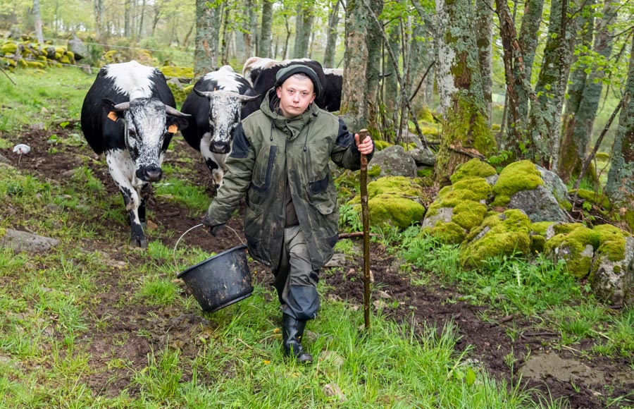 La Ferme du Surcenord