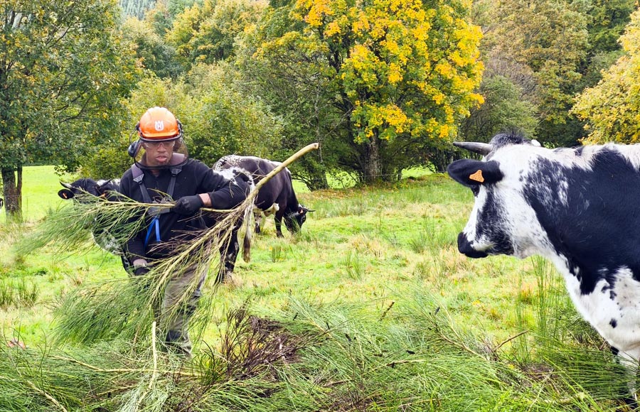 La Ferme du Surcenord